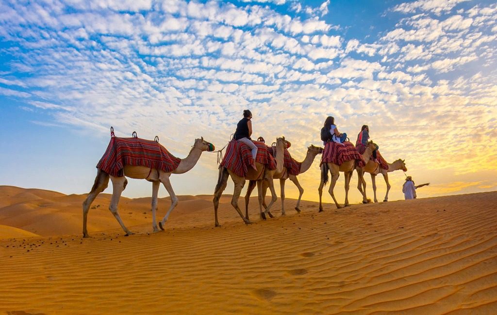 arabian tours desert safari